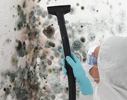 Mold Odor Removal Services in East Palo Alto, CA